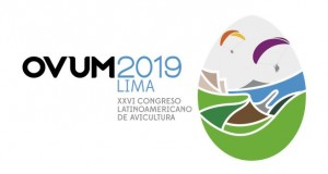 Ovum 2019