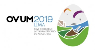 Ovum 2019