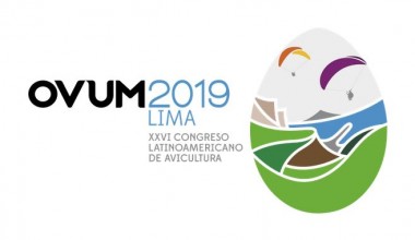 Ovum 2019