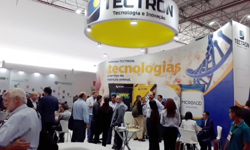 A Empresa