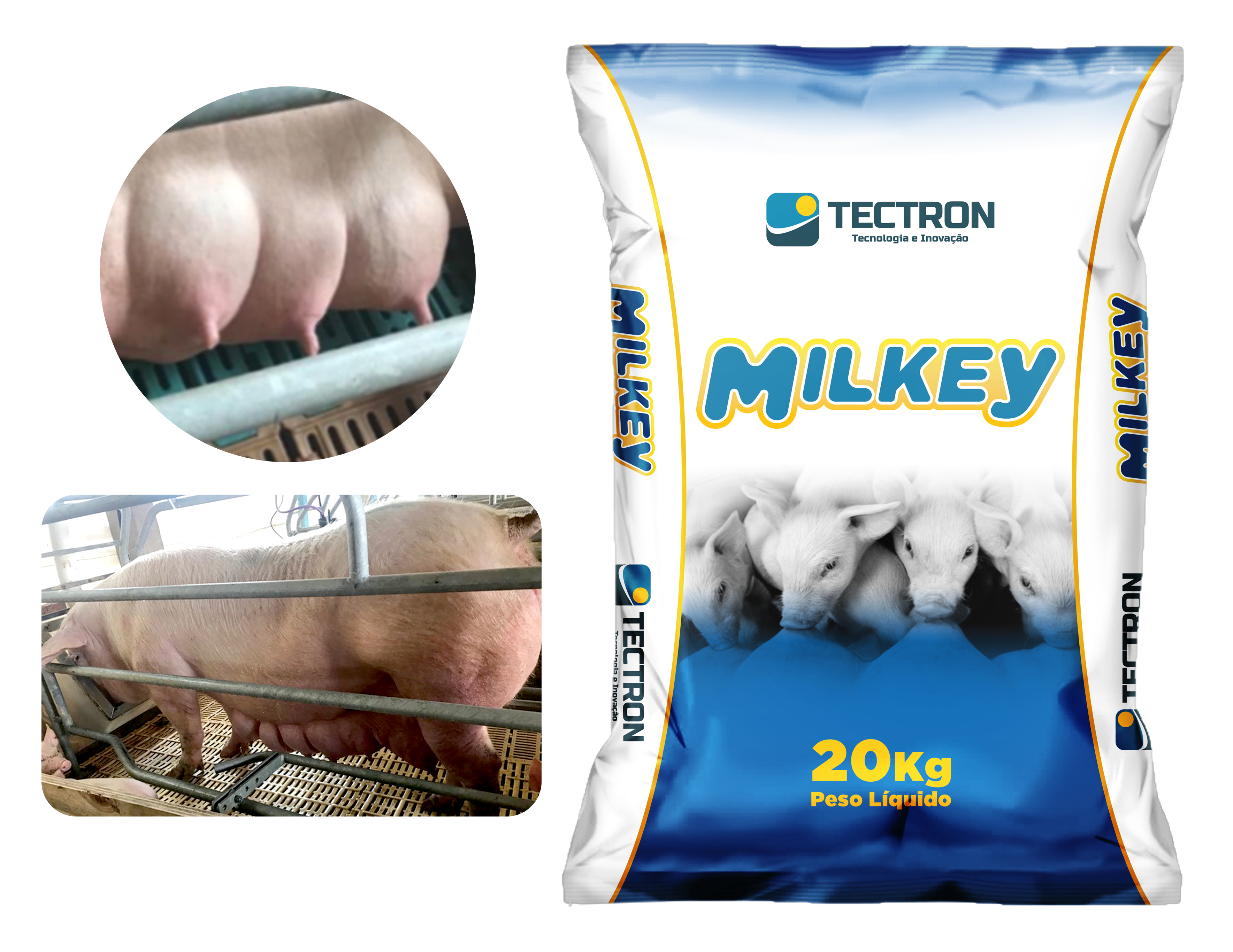 1323760781Milkey nova_2.png
